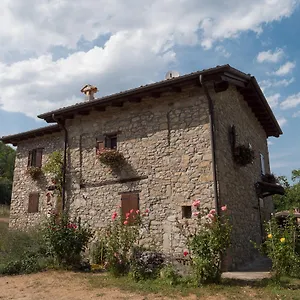 La Piana Dei Castagni Castel dʼAiano
